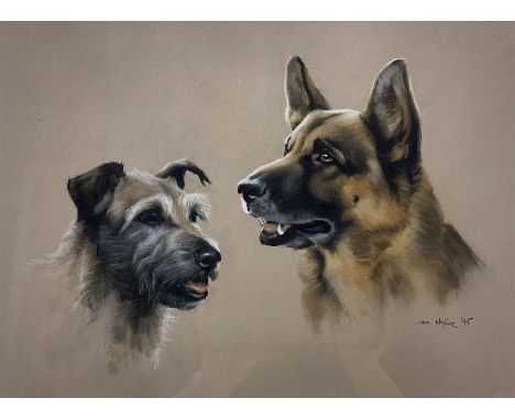 John Naylor (British 1960-): Portrait of Two Dogs, pastel signed and dated '95, 28cm x 38cm