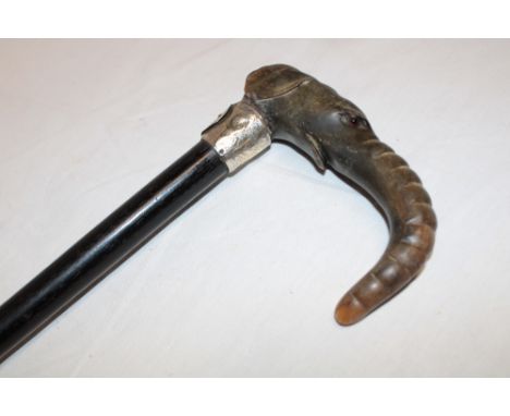 A gentleman's walking stick with carved horn elephant's head handle, silver ferrule and ebonised shaft