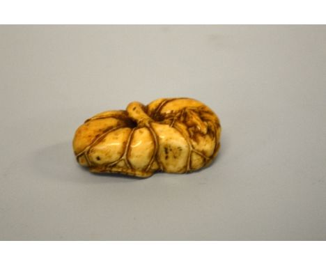 A JAPANESE IVORY NETSUKE, two frogs on a pumpkin