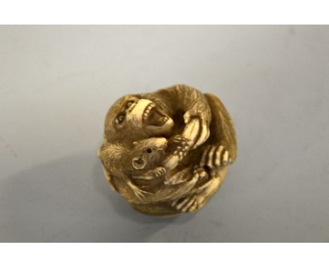 A JAPANESE IVORY NETSUKE, Meiji period, in the shape of a seated Ape fighting over a banana with a Rat, signed to the base