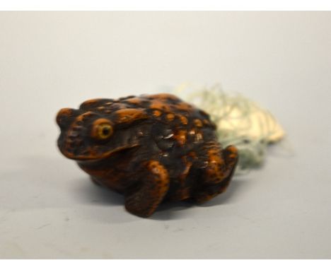 A JAPANESE BOXWOOD NETSUKE, carved as a Frog in the style of Masahor
