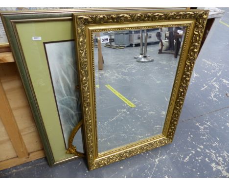 TWO GILT FRAMED MIRRORS AND A PRINT OF A TIGER. 