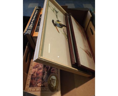 A Pair of Framed Water Colours, Oriental Print and Collection of Books. 