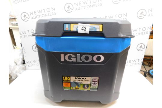 igloo maxcold latitude 62 qt