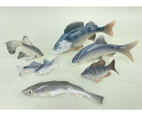 ROYAL COPENHAGEN FISH comprising Roach numbered 2675, Perch numbered 1138, Fantail numbered 3064, fish pair numbered 2870, Am