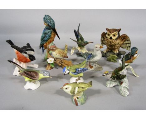 A collection of Goebel model birds including kingfisher, humming bird, bullfinch, etc