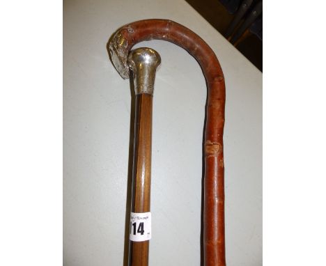 A silver topped walking stick and one other (2)
