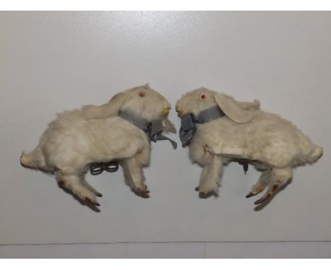 A pair of 19thC French automaton rabbits in Roullet et Decamps style, covered in white fur skin, pink glass eyes, integral wi