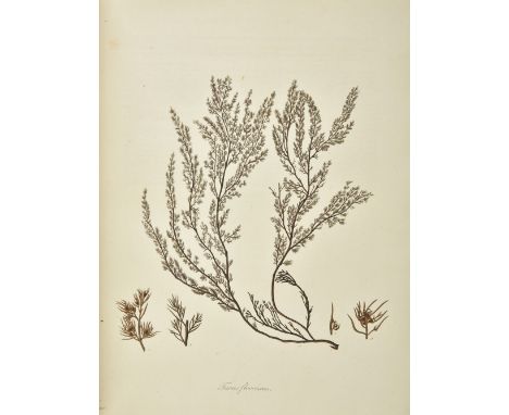 Turner (Dawson). Fuci sive Plantarum Generi... Fuci; or, Colored Figures and Descriptions of the Plants referred by botanists
