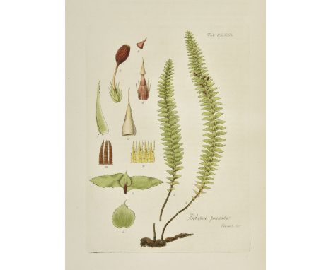Hooker (William Jackson). Musci Exotici; Containing Figures and Descriptions of new or little known Foreign Mosses and other 