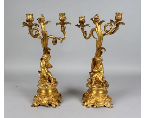 A GOOD PAIR OF LOUIS XVI DESIGN ORMOLU TWO-LIGHT CANDLESTICKS, as cupids beneath a pair of scrolling branches on circular aca