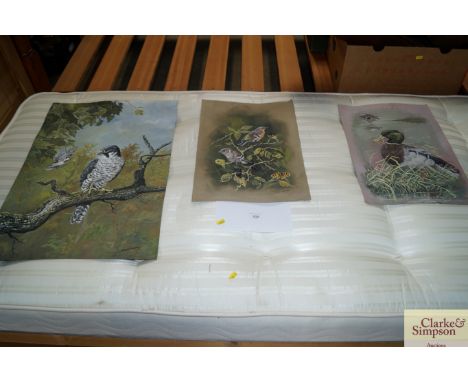 Peter R Holmes, three unframed studies of birds