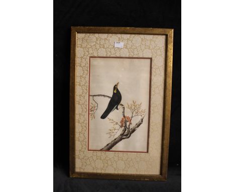 A 19th century Qing Dynasty Watercolour and Gouache painting on pith paper of a Mynah bird resting on a blossom branch.&nbsp;