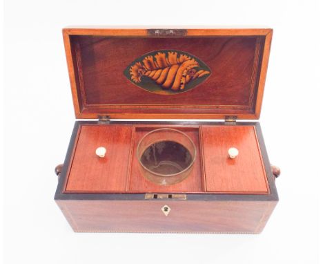 Victorian mahogany and satinwood inlaid tea caddy, the hinged lid decorated with an oval panel depicting a swan, with fitted 