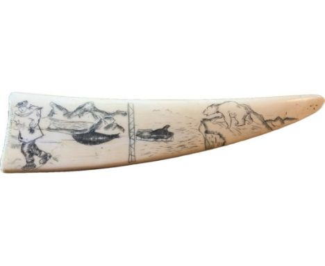 An Inuit engraved scrimshaw Walrus small tusk, engraved to both sides - one with figures, seal and polar bear, the other with