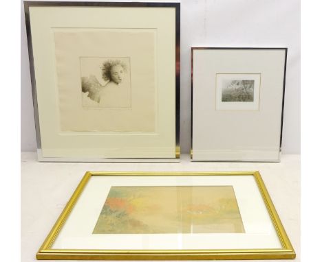 'Angel', artist's proof etching signed, titled and dated '93 by Jane Lewis (1953-), Woodland Scene, gum print, inscribed and 