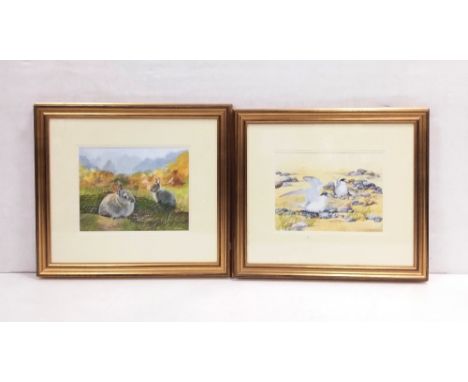 Pair of Attractive Watercolours by R B Doherty Dimensions: Including Frame 66cm W x 59cm 
