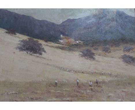 20th century school, "Harvesting" extensive mountain landscape, manual harvesting, oil painting on canvas, indistinctly signe