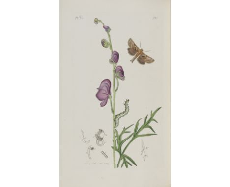 CURTIS (JOHN)British Entomology; being illustrations and descriptions of genera of insects found in Great Britain and Ireland