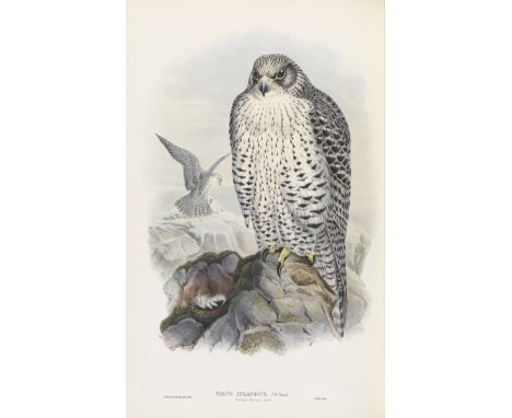 GOULD (JOHN)The Birds of Great Britain, vol. 1 (of 5), FIRST EDITION,  37 hand-coloured lithographed plates after Gould, Jose