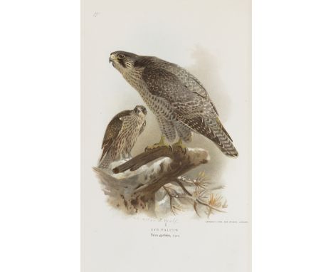 LILFORD (THOMAS L. POWYS, FOURTH BARON)Coloured Figures of the Birds of the British Islands, 7 vol., FIRST EDITION,  list of 