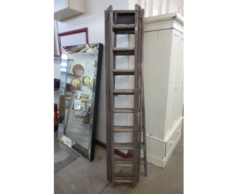 A set of extending ladders and a fruit pickers ladder