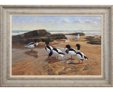 * PETER MUNRO (SCOTTISH b. 1954),  DUCKS AT THE COAST oil on canvas, signed and dated 1997framedimage size 60cm x 89cm, overa