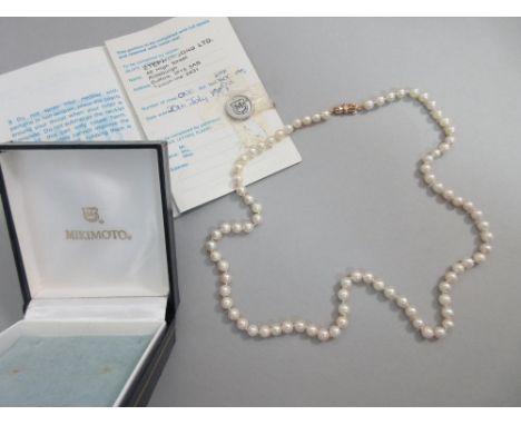 A single strand of uniform cultured pearls with gold clasp together with a Mikimoto box and guarantee, the 5.6mm pearls to a 