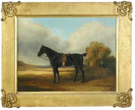 Attributed to W J Gilbert (British, 19th Century) A saddled dark bay hunter in a landscape oil on panel, in a gilt frame with