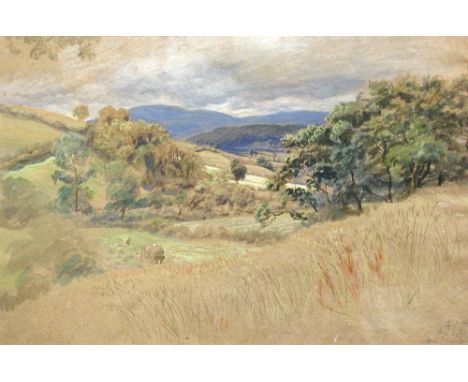 James Thomas Linnell (British, 1820-1905) Near Rhayador, inscribed lower right "2 p.m. / Augt 3 / '67 / Near Rhayador", colou