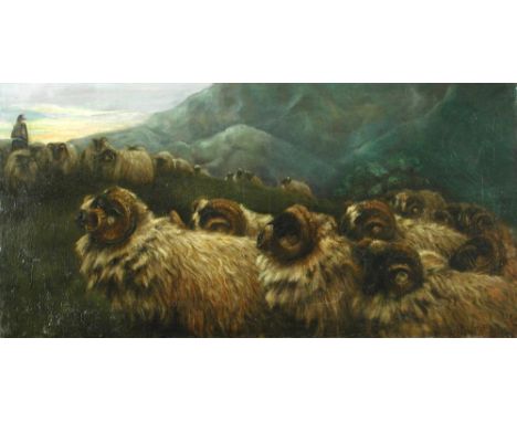 § John Robert Keitley Duff (British, 1862-1938) Highland Blackface Sheep being herded on a hillside signed lower right "R K D
