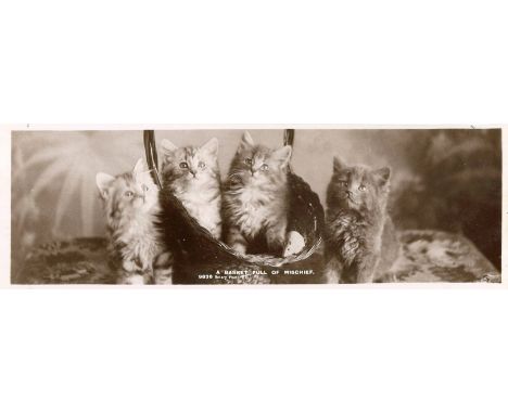 ROTARY, Midget Book Post (kittens), bookmark shaped postcards, none pu, G to VG, 15