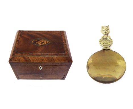 19th century mahogany inlaid workbox, the crossbanded top with a conch shell paterae enclosing an open interior over a single