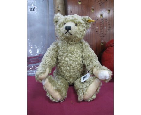 A Circa Early 2000's Steiff Bear with button and growler feature.