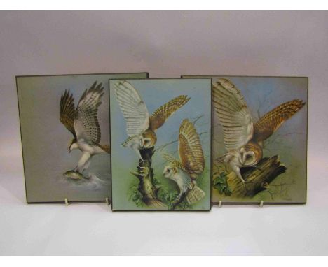 Three images on board depicting barn owls perched on trees and eagle hunting fish  