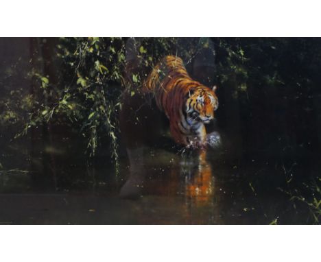 David Shepherd (British 1931-2017). Burning Bright, a pencil signed limited edition coloured print, framed. H.72 W.99cm 