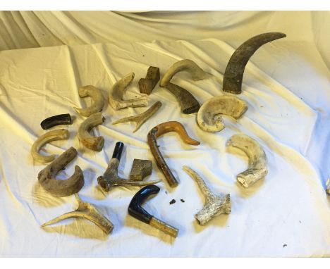 A selection horns for walking stick handles, some ready filled.