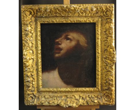 A 16th Century oil on canvas of portrait in an18th Century carved and gilded frame, 31cm x 29cm