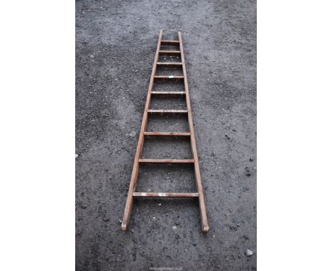 A nine rung fruit picking ladder 