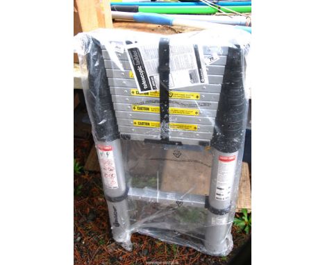 A telescopic ladder.