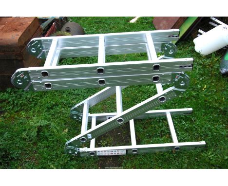 A "Wolf" folding twelve rung ladder.