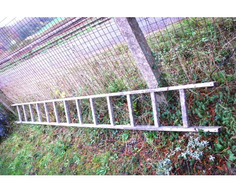 A thirteen rung aluminium ladder.