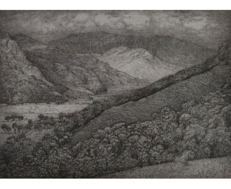 DAVID WOODFORD lithograph - entitled Nant Gwynant, signed in full and entitled and signed verso, dated 1989, 20 x 27cms