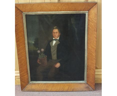 Unsigned oil on canvas, portrait of a Gentleman plantsman, with a Primula Auricula in a pot, 21 1/4" x 17 1/4"
