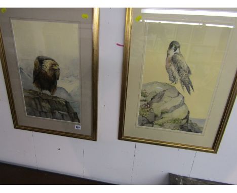 VICTORIAN BIRD PORTRAIT, pair of monogrammed & dated watercolours "Birds Of Prey On Rocky Outcrops", 18" x 11"