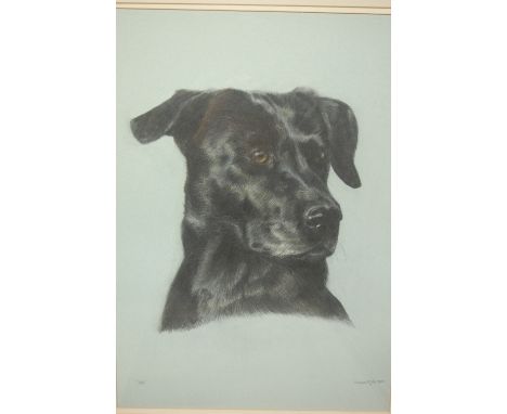 Sheena McCall - Kipper, graphite and pastel, signed and dated 1985, 27 x 22cm; one other dog portrait by the artist; and a pa