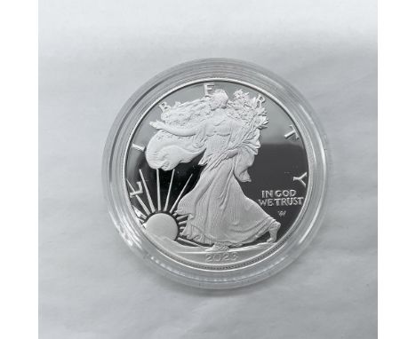 San Francisco Mint. The obverse side features full length of Liberty in stride. She is shown wrapped in the folds of the flag