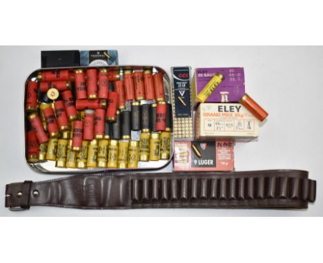 A collection of shotgun and rifle cartridges together with a leather cartridge belt. PLEASE NOTE THAT A VALID RELEVANT RFD CE