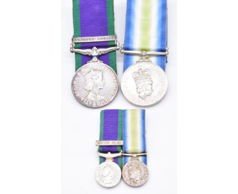 Royal Air Force medal pair South Atlantic Medal and General Service Medal named to Leading Aircraftsman S R Guest 88084073, R