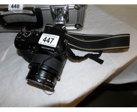 An Olympus C-8080 digital camera